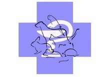 Ветклиника (ветаптека) «4+1»